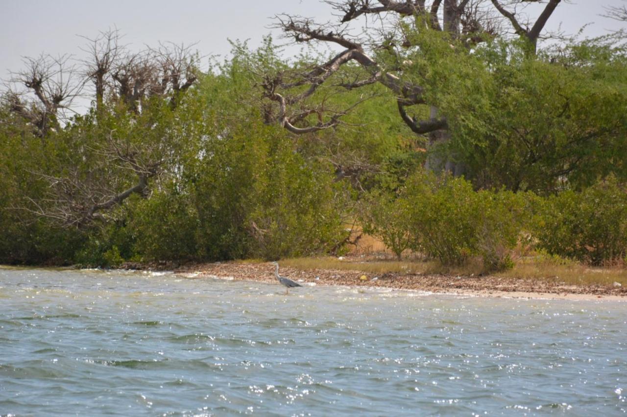 Le Pelican Du Saloum Sine-Saloum Exterior photo